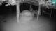 Lubiana 30.04.2025 00:29