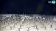 Bibione 02.07.2025 00:28