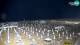 Bibione 18.05.2025 00:29