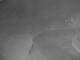 Corpus Christi, Texas 23.05.2025 00:30