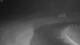 Corpus Christi, Texas 01.05.2025 00:31