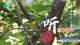 Chengde 06.07.2025 00:31