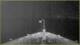 Le Lyrial 02.05.2025 00:32