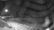 Plouescat 10.07.2025 00:23