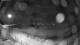 Plouescat 22.06.2025 00:23