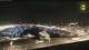 Marseille 15.06.2025 00:26