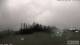Burnt Pine (Norfolk Island) 08.07.2025 00:32