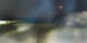 Graz 30.04.2025 00:32
