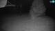 Cerkno 15.06.2025 00:34