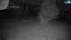 Cerkno 13.07.2025 00:34