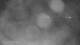 Puerto Rey 09.06.2025 00:34