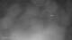 Puerto Rey 03.07.2025 00:34