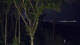 Markgrafenheide 20.05.2025 00:35