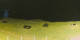 Donville-les-Bains 01.05.2025 00:11