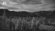 June Lake, Kalifornien 24.08.2026 00:34