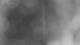 Henne 28.10.2026 00:34