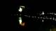 Bled 04.07.2025 00:49