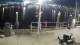 Placida, Florida 30.04.2025 00:50