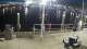 Placida, Florida 01.05.2025 00:50