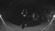 Griffen 11.05.2025 00:51