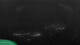 Friesach 14.07.2025 00:55
