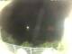 Morcone (Elba) 15.06.2025 00:51