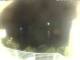 Morcone (Elba) 01.05.2025 00:51