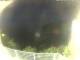 Elba - Morcone 09.06.2025 00:51