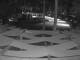 Punta Cana 30.04.2025 00:52