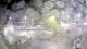 Stallings, Caroline du Nord 11.05.2025 00:54