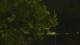 Callisburg, Texas 15.06.2025 00:54