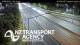 Greenlane 09.06.2025 01:52