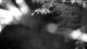 Averill Park, New York 15.06.2025 01:53
