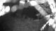 Averill Park, New York 19.03.2025 01:53