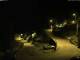 Campodolcino 16.05.2025 01:53