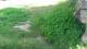 San Diego, California 08.05.2025 01:53