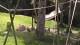 San Diego, California 03.07.2025 01:53