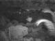 Quart-A-Nancy Point 11.05.2025 01:54