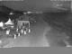 Heringsdorf (Usedom) 14.06.2025 01:54