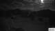 Bürgenstock 11.05.2025 01:55