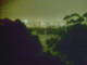 Linley Point 01.07.2025 01:54