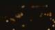 San Antonio, Texas 11.05.2025 01:13