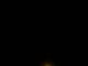 Nuremberg 11.05.2025 01:59