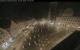 Augsburg 01.05.2025 01:47