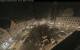 Augsburg 02.07.2025 01:47
