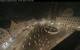 Augsbourg 18.05.2025 01:47