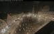 Augsbourg 30.04.2025 01:47