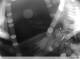Spodsbjerg (Langeland) 26.04.2025 01:59