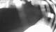 Schwinge 09.06.2025 01:59