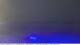 Fort-Mahon-Plage 09.06.2025 01:01